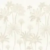 Maracujas - Lin